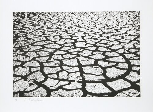 Black Earth by Menashe Kadishman, Print for Sale on Singulart