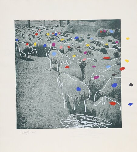 SHEEP Portfolio, 3 by Menashe Kadishman, 인쇄 for Sale on Singulart