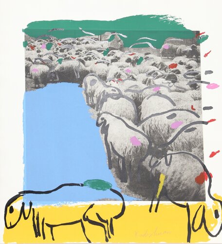 SHEEP Portfolio, 7 by Menashe Kadishman, Print for Sale on Singulart