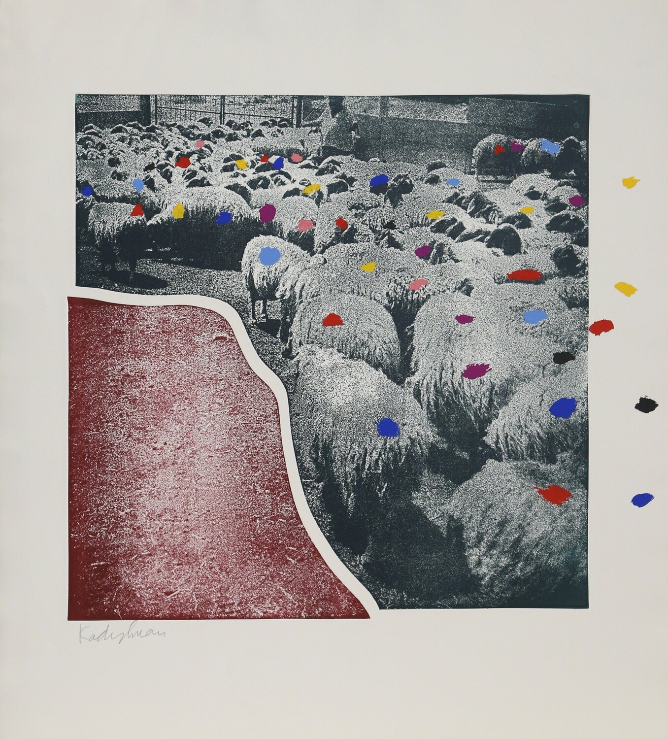 SHEEP Portfolio, 5 Menashe Kadishman Druck zu verkaufen