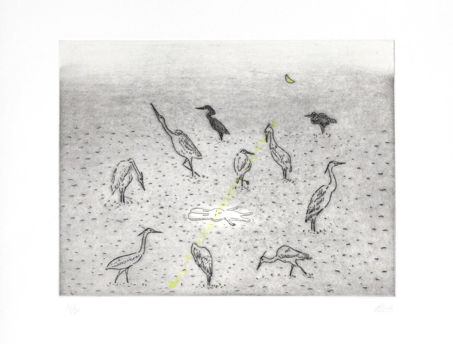 Usacchi-Observing Atsushi Kaga