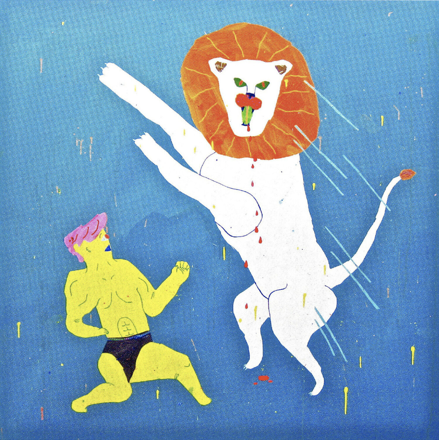 Wild Fighter Misaki Kawai