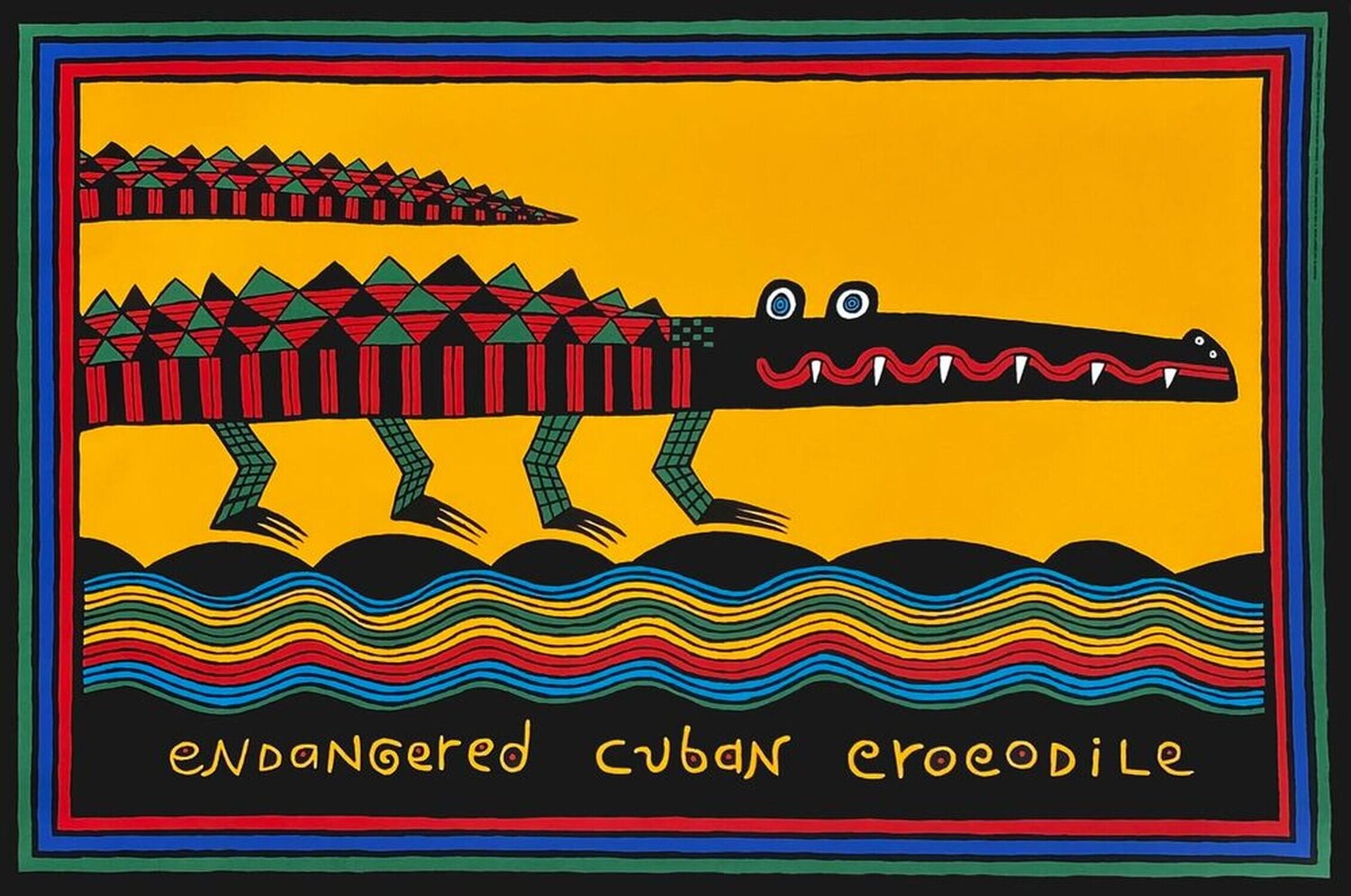 Endangered Cuban crocodile Judy Kensley McKie