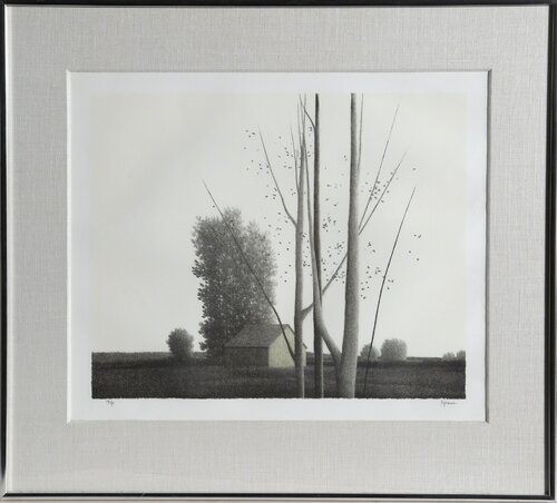 Tall Skinny Trees di Robert Kipniss, Stampa in vendita su Singulart