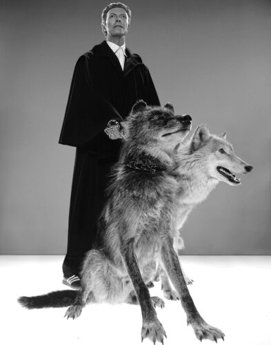 The Pack von Markus Klinko, Fotografie kaufen auf Singulart