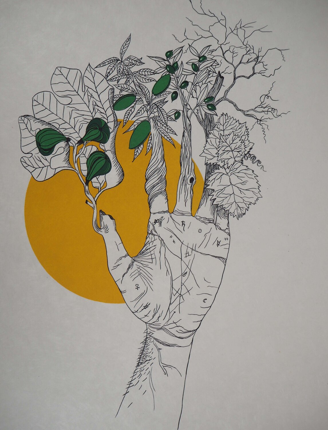 La main de la nature Félix Labisse Stampa in vendita