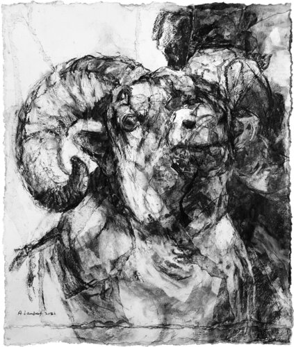 Ram's Head par Alison Lambert, Œuvre sur papier en vente sur Singulart