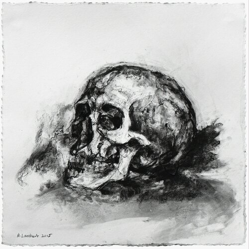 Skull par Alison Lambert, Œuvre sur papier en vente sur Singulart