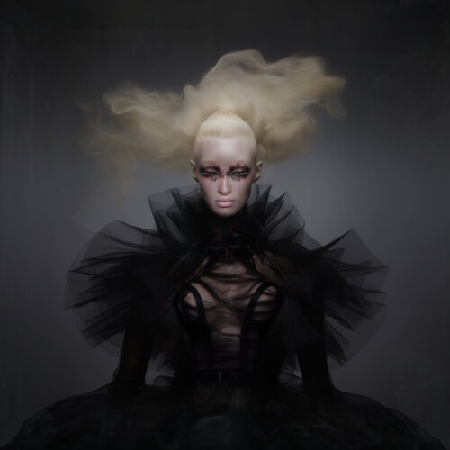 Old Master Organza Corinna Holthusen