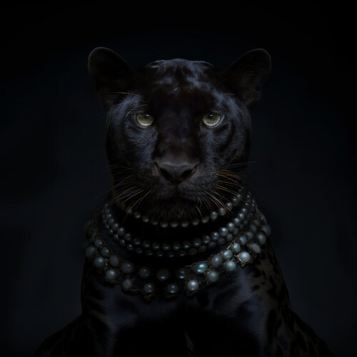 Black Panther de Corinna Holthusen, Fotografía a la venta en Singulart