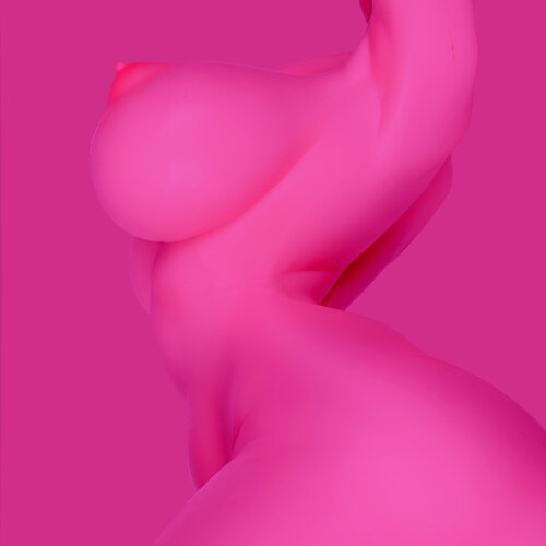 Nude pimk van Corinna Holthusen, Fotografie te koop op Singulart