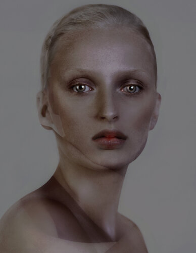 Grey  Portrait 2 von Corinna Holthusen, Fotografie kaufen auf Singulart