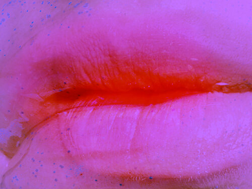 Lip neon3 Corinna Holthusen