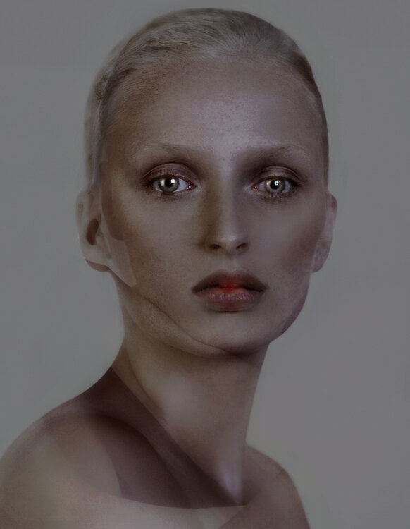 Grey  Portrait 2 Corinna Holthusen