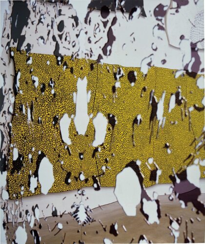 Not Lizard van Louise Lawler, Fotografie te koop op Singulart
