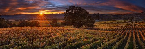 ピーターリック Peter Lik 『endless dreams』 Peter Likの作品をSINGULARTで販売中