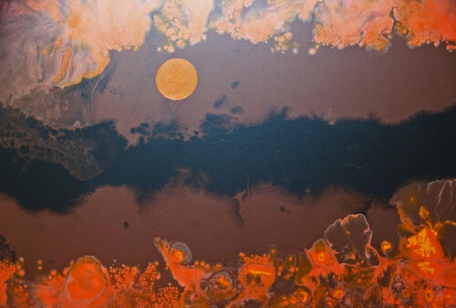 Moonglow (H) par Jo Moore, Peinture en vente sur Singulart
