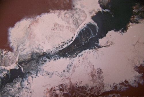 Midsummer Dream (H) di Jo Moore, Pittura in vendita su Singulart