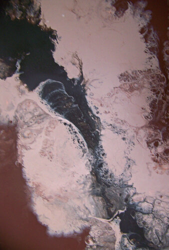 Midsummer Dream (V) de Jo Moore, Pintura a la venta en Singulart