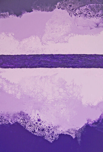 Lavender Morning di Jo Moore, Pittura in vendita su Singulart