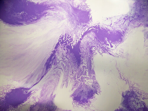 Sky Dancer di Jo Moore, Pittura in vendita su Singulart