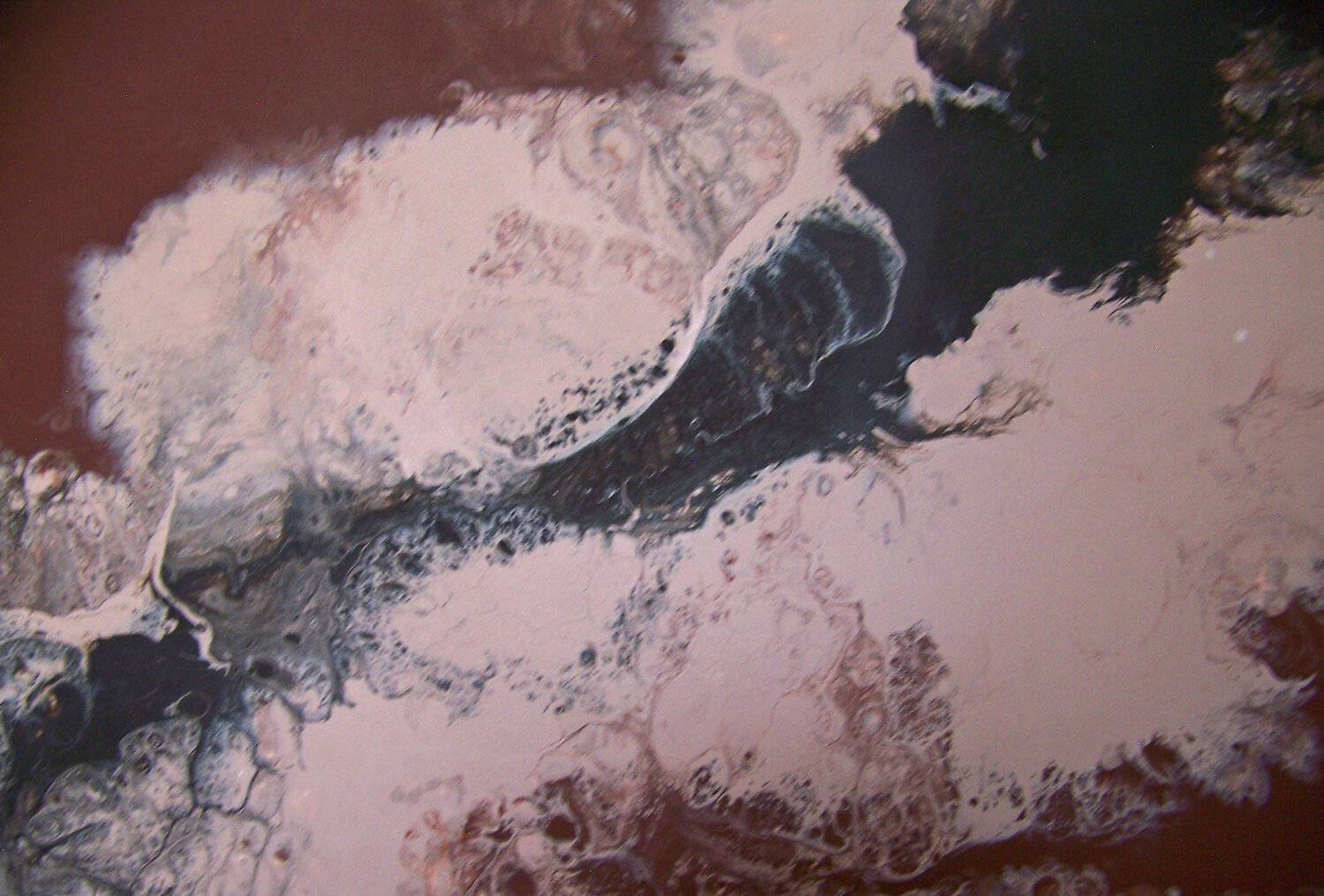 Midsummer Dream (H) Jo Moore