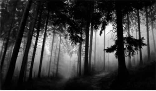 Fairmount Forest van Robert Longo, Afdruk te koop op Singulart