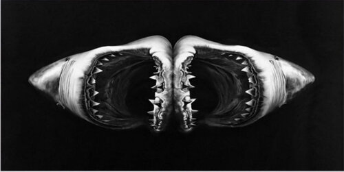 Double Shark by Robert Longo, Print for Sale on Singulart