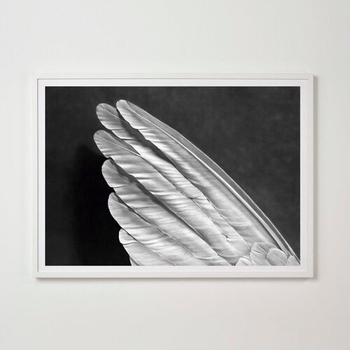 Angel's Wing (Small) van Robert Longo, Afdruk te koop op Singulart