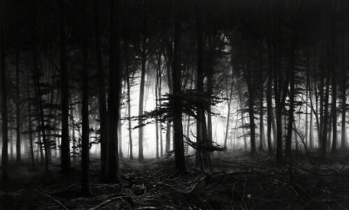 Forest of Doxa von Robert Longo, Fotografie kaufen auf Singulart