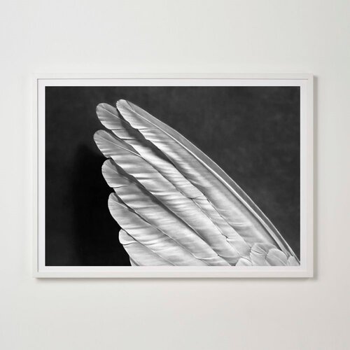 Angel's Wing van Robert Longo, Afdruk te koop op Singulart