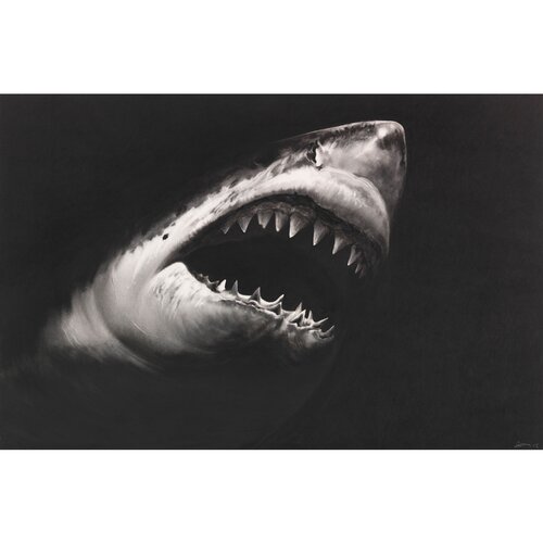 Shark 15 van Robert Longo, Werk op papier te koop op Singulart