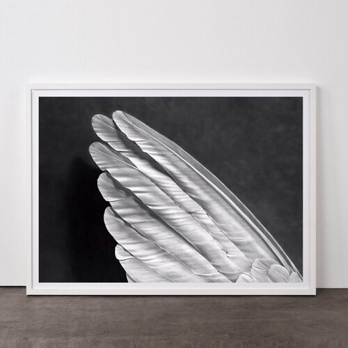 Angel's Wing (Small) by Robert Longo, Print for Sale on Singulart