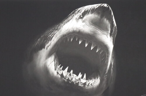 Bruce by Robert Longo, Print for Sale on Singulart