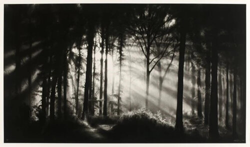 In the Garden, Et in Arcadia Ego by Robert Longo, 写真 for Sale on Singulart