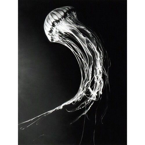 Rumi de Robert Longo, Impresión a la venta en Singulart
