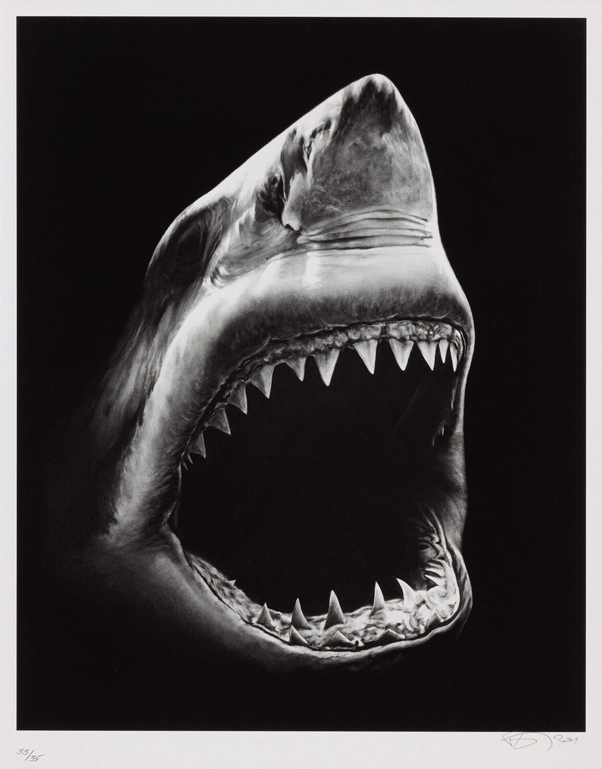 Untitled (Shark 5) Robert Longo Stampa in vendita