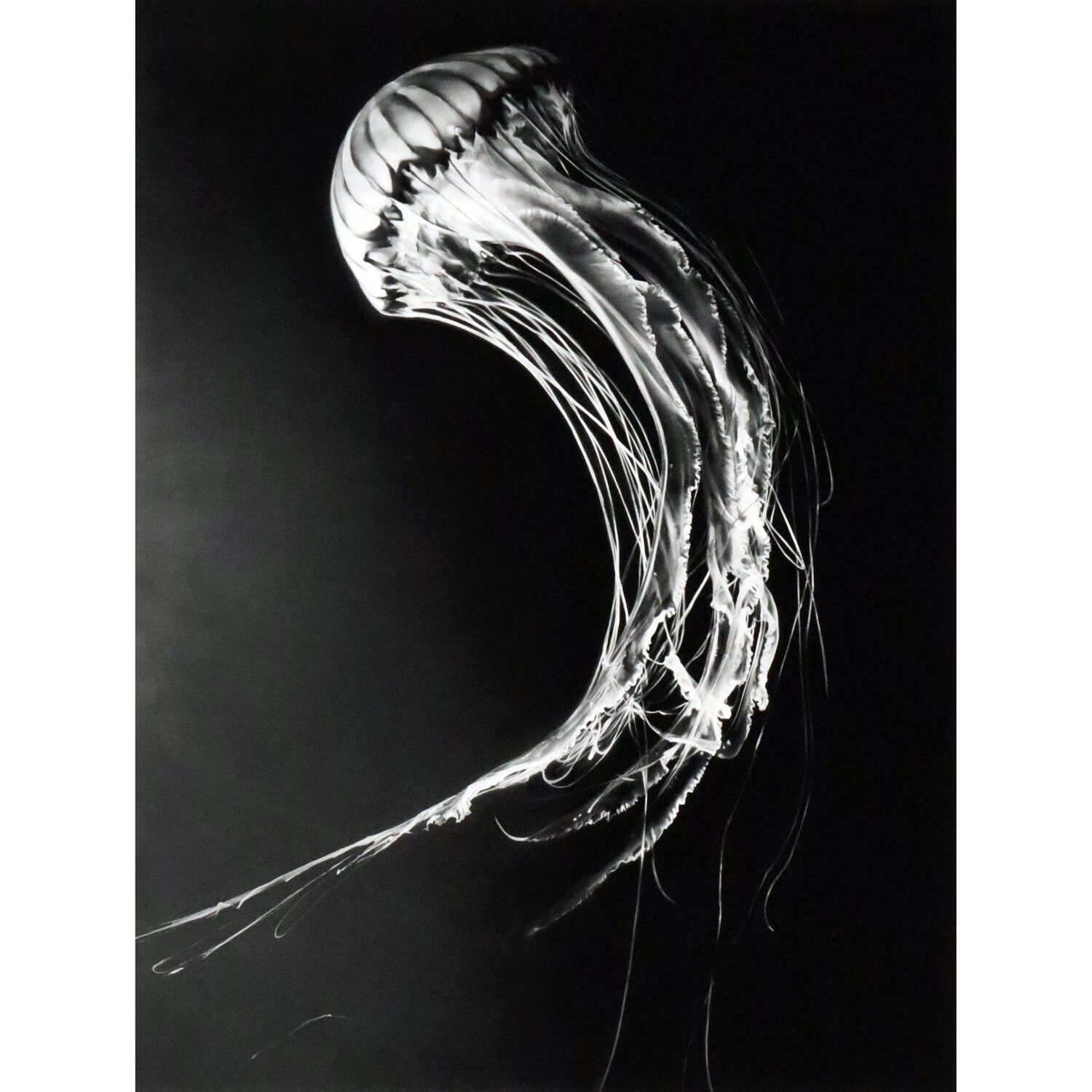 Rumi Robert Longo Druck zu verkaufen