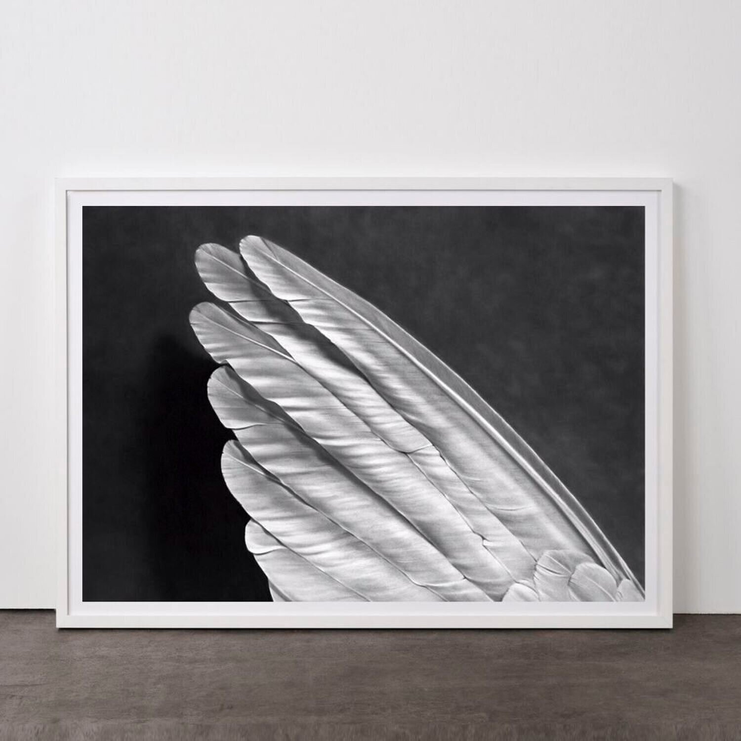 Angel's Wing (Small) Robert Longo Print for sale
