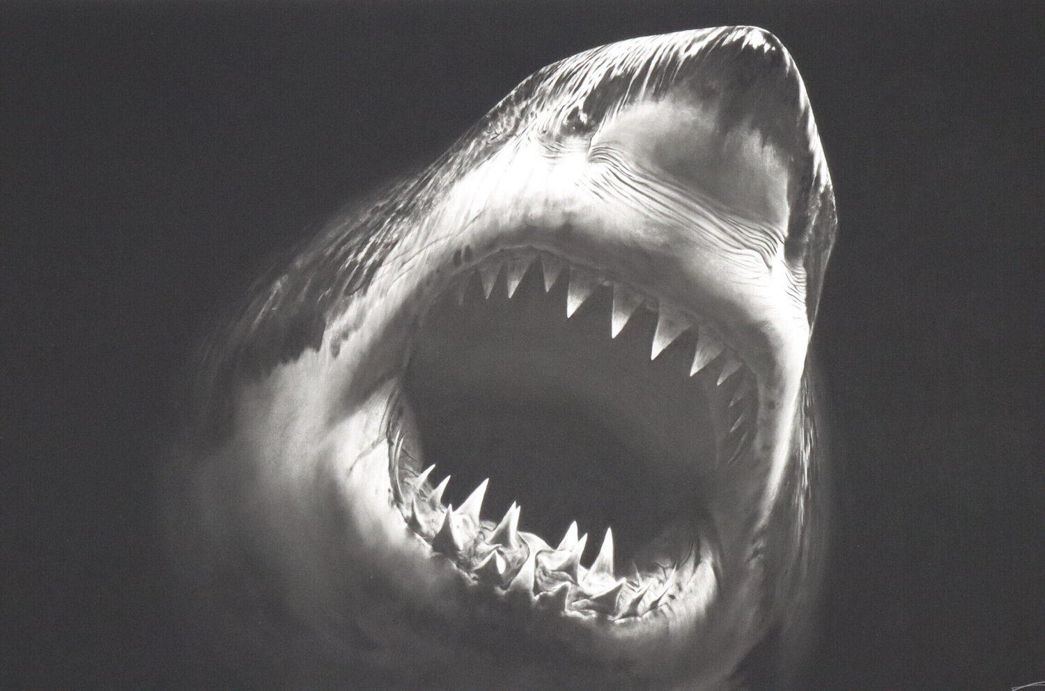 Bruce Robert Longo Print for sale