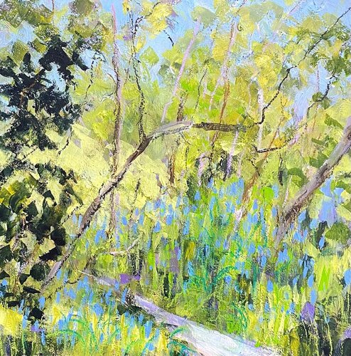 Bluebell Walk Nikki Wheeler