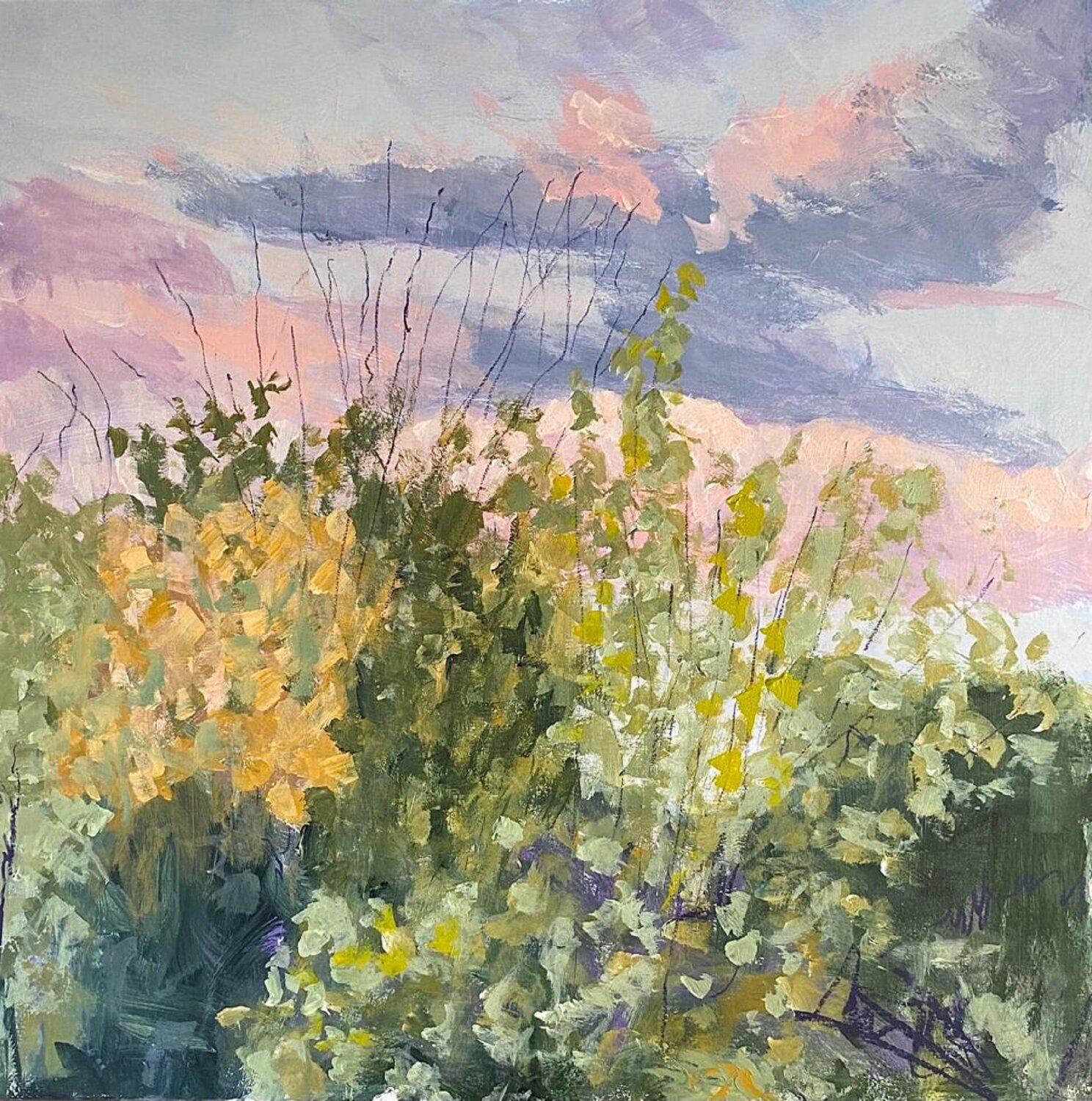 Autumn Trees and Sky Nikki Wheeler