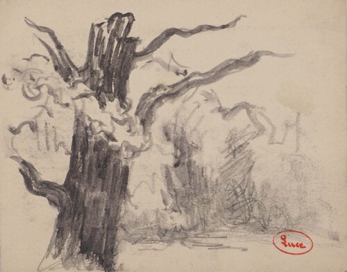 Vieil arbre par Maximilien Luce, Dessin en vente sur Singulart