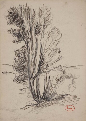 Nature sauvage de Maximilien Luce, Dibujo a la venta en Singulart
