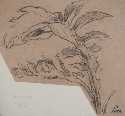 pencil d'observation botanique par Maximilien Luce, Dessin en vente sur Singulart