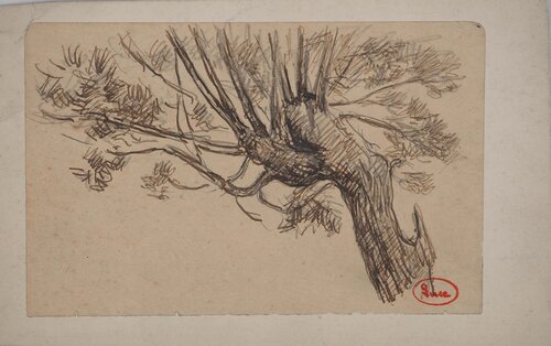 Le saule par Maximilien Luce, Dessin en vente sur Singulart