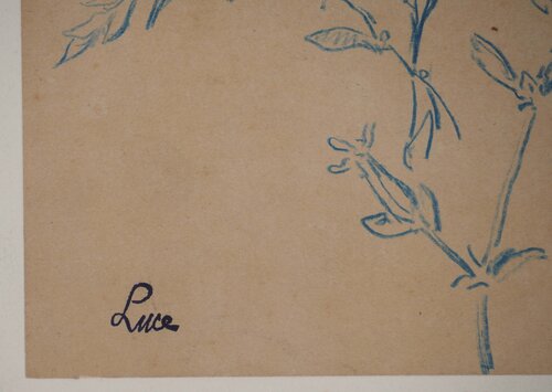 Etude de fleurs des champs van Maximilien Luce, Werk op papier te koop op Singulart