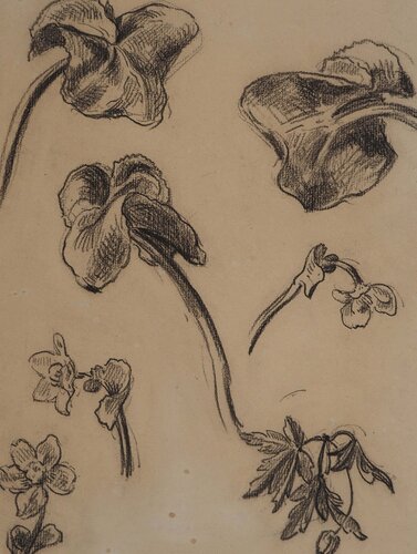 Etude de fleurs et jeunes pousses van Maximilien Luce, Werk op papier te koop op Singulart