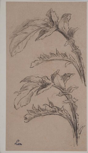 Etude de feuilles de Maximilien Luce, Dibujo a la venta en Singulart