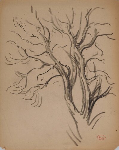 Etude de branches by Maximilien Luce, Drawing for Sale on Singulart